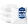 MIULEE 24×24 Pillow Inserts,Down Alternative Pack of 2 Euro Decorative Throw Pillows for Sofa Couch Bed, Ultra Soft Fluffy Bed Sleeping Form(4)