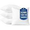 MIULEE 24×24 Pillow Inserts,Down Alternative Pack of 2 Euro Decorative Throw Pillows for Sofa Couch Bed, Ultra Soft Fluffy Bed Sleeping Form(4)