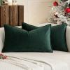 MIULEE Pack of 2 Christmas Decorative Velvet Throw Pillow Cover Soft Army Green Pillow Cover Solid Square Cushion Case for Winter Sofa Bedroom Car 18x 18 Inch 45x 45cm(Army Green)
