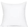 MIULEE 14×36 Inch Throw Pillow Insert Premium Throw Pillow Virgin Microfiber Stuffer Rectangle Pillow for Sofa Bed Couch(22×22 Inch (Pack of 1))