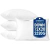 MIULEE 24×24 Pillow Inserts,Down Alternative Pack of 2 Euro Decorative Throw Pillows for Sofa Couch Bed, Ultra Soft Fluffy Bed Sleeping Form(4)