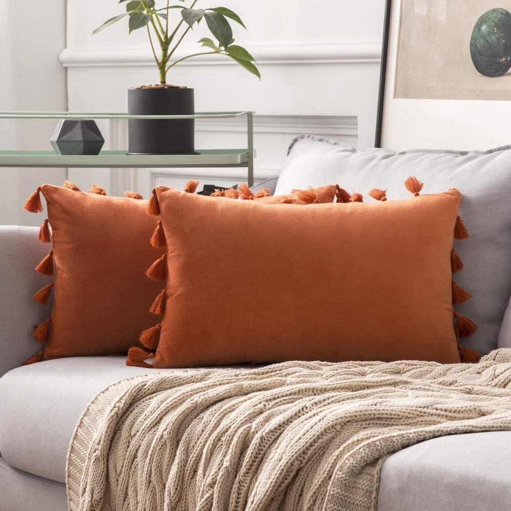 imageMIULEE Pack of 2 Fall Velvet Soft Solid Decorative Throw Pillow Cover with Tassels Fringe Boho Accent Cushion Case for Couch Sofa Bed 12 x 20 Inch Burnt Orange