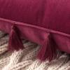 MIULEE Pack of 2 Christmas Velvet Soft Solid Decorative Throw Pillow Cover with Tassels Wine Red Fringe Boho Accent Cushion Case for Couch Sofa Bed 18 x 18 Inch