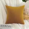MIULEE Pack of 2 Velvet Pillow Covers Decorative Square Pillowcase Soft Solid Cushion Case for Fall Sofa Bedroom Car 14×14 Inch Gold