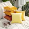 MIULEE Pack of 2 Velvet Pillow Covers Decorative Square Pillowcase Soft Solid Cushion Case for Fall Sofa Bedroom Car 14×14 Inch Gold
