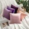 MIULEE Pack of 2 Velvet Pillow Covers Decorative Square Pillowcase Soft Solid Cushion Case for Sofa Bedroom Car 14 x 14 Inch Eggplant Purple