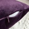 MIULEE Pack of 2 Velvet Pillow Covers Decorative Square Pillowcase Soft Solid Cushion Case for Sofa Bedroom Car 14 x 14 Inch Eggplant Purple