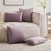MIULEE Pack of 2, Velvet Soft Solid Decorative Square Throw Pillow Covers Set Cushion Case for Spring Sofa Bedroom Car 20×20 Inch 50×50 Cm