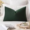 MIULEE Teal Velvet Pillow Covers Decorative Square Pillowcases Soft Solid Cushion Cases for Sofa Bedroom Couch 16 x 16 Inch(Army Green)