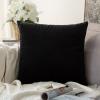 MIULEE Teal Velvet Pillow Covers Decorative Square Pillowcases Soft Solid Cushion Cases for Sofa Bedroom Couch 16 x 16 Inch(Black)
