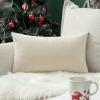 MIULEE Teal Velvet Pillow Covers Decorative Square Pillowcases Soft Solid Cushion Cases for Sofa Bedroom Couch 16 x 16 Inch(Cream White)