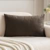 MIULEE Teal Velvet Pillow Covers Decorative Square Pillowcases Soft Solid Cushion Cases for Sofa Bedroom Couch 16 x 16 Inch(Dark Coffee)
