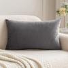 MIULEE Teal Velvet Pillow Covers Decorative Square Pillowcases Soft Solid Cushion Cases for Sofa Bedroom Couch 16 x 16 Inch(Dark Grey)