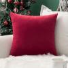 MIULEE Teal Velvet Pillow Covers Decorative Square Pillowcases Soft Solid Cushion Cases for Sofa Bedroom Couch 16 x 16 Inch(Red)