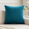 MIULEE Teal Velvet Pillow Covers Decorative Square Pillowcases Soft Solid Cushion Cases for Sofa Bedroom Couch 16 x 16 Inch(Teal)