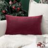 MIULEE Teal Velvet Pillow Covers Decorative Square Pillowcases Soft Solid Cushion Cases for Sofa Bedroom Couch 16 x 16 Inch(Wine Red)