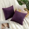 MIULEE Pack of 2 Velvet Pillow Covers Decorative Square Pillowcase Soft Solid Cushion Case for Sofa Bedroom Car 14 x 14 Inch Eggplant Purple