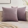 MIULEE Pack of 2, Velvet Soft Solid Decorative Square Throw Pillow Covers Set Cushion Case for Spring Sofa Bedroom Car 20×20 Inch 50×50 Cm
