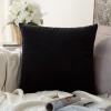 MIULEE Teal Velvet Pillow Covers Decorative Square Pillowcases Soft Solid Cushion Cases for Sofa Bedroom Couch 16 x 16 Inch(Black)