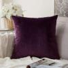 MIULEE Teal Velvet Pillow Covers Decorative Square Pillowcases Soft Solid Cushion Cases for Sofa Bedroom Couch 16 x 16 Inch(Eggplant Purple)