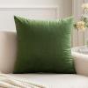 MIULEE Teal Velvet Pillow Covers Decorative Square Pillowcases Soft Solid Cushion Cases for Sofa Bedroom Couch 16 x 16 Inch(Moss Green)