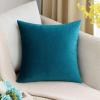 MIULEE Teal Velvet Pillow Covers Decorative Square Pillowcases Soft Solid Cushion Cases for Sofa Bedroom Couch 16 x 16 Inch(Teal)