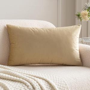 MIULEE Teal Velvet Pillow Covers Decorative Square Pillowcases Soft Solid Cushion Cases for Sofa Bedroom Couch 16 x 16 Inch(Beige)