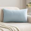 MIULEE Velvet Pillow Cover Soft Luxury Decorative Throw Pillow Cover Single Rectangle Cushion Case for Spring Couch Sofa Bedroom Car Decor,12×20 Inch Aqua Green(Baby Blue)