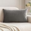 MIULEE Velvet Pillow Cover Soft Luxury Decorative Throw Pillow Cover Single Rectangle Cushion Case for Spring Couch Sofa Bedroom Car Decor,12×20 Inch Aqua Green(Grey)
