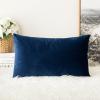 MIULEE Velvet Pillow Cover Soft Luxury Decorative Throw Pillow Cover Single Rectangle Cushion Case for Spring Couch Sofa Bedroom Car Decor,12×20 Inch Aqua Green(Dark Blue)