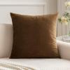 MIULEE Velvet Pillow Cover Soft Luxury Decorative Throw Pillow Cover Single Rectangle Cushion Case for Spring Couch Sofa Bedroom Car Decor,12×20 Inch Aqua Green(Chocolate)