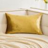 MIULEE Velvet Pillow Cover Soft Luxury Decorative Throw Pillow Cover Single Rectangle Cushion Case for Spring Couch Sofa Bedroom Car Decor,12×20 Inch Aqua Green(Golden)