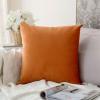 MIULEE Velvet Pillow Cover Soft Luxury Decorative Throw Pillow Cover Single Rectangle Cushion Case for Spring Couch Sofa Bedroom Car Decor,12×20 Inch Aqua Green(Orange)