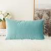 MIULEE Velvet Pillow Cover Soft Luxury Decorative Throw Pillow Cover Single Rectangle Cushion Case for Spring Couch Sofa Bedroom Car Decor,12×20 Inch Aqua Green(Aqua Green)