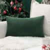 MIULEE Velvet Pillow Cover Soft Luxury Decorative Throw Pillow Cover Single Rectangle Cushion Case for Spring Couch Sofa Bedroom Car Decor,12×20 Inch Aqua Green(Army Green)