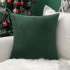 MIULEE Velvet Pillow Cover Soft Luxury Decorative Throw Pillow Cover Single Rectangle Cushion Case for Spring Couch Sofa Bedroom Car Decor,12×20 Inch Aqua Green(Army Green)