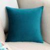 MIULEE Velvet Pillow Cover Soft Luxury Decorative Throw Pillow Cover Single Rectangle Cushion Case for Spring Couch Sofa Bedroom Car Decor,12×20 Inch Aqua Green(Teal)