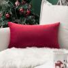 MIULEE Velvet Pillow Cover Soft Luxury Decorative Throw Pillow Cover Single Rectangle Cushion Case for Spring Couch Sofa Bedroom Car Decor,12×20 Inch Aqua Green(Red)