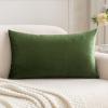 MIULEE Velvet Pillow Cover Soft Luxury Decorative Throw Pillow Cover Single Rectangle Cushion Case for Spring Couch Sofa Bedroom Car Decor,12×20 Inch Aqua Green(Moss Green)