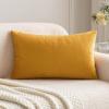 MIULEE Velvet Pillow Cover Soft Luxury Decorative Throw Pillow Cover Single Rectangle Cushion Case for Spring Couch Sofa Bedroom Car Decor,12×20 Inch Aqua Green(Gold)