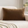 MIULEE Velvet Pillow Cover Soft Luxury Decorative Throw Pillow Cover Single Rectangle Cushion Case for Spring Couch Sofa Bedroom Car Decor,12×20 Inch Aqua Green(Chocolate)