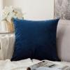 MIULEE Velvet Pillow Cover Soft Luxury Decorative Throw Pillow Cover Single Rectangle Cushion Case for Spring Couch Sofa Bedroom Car Decor,12×20 Inch Aqua Green(Dark Blue)