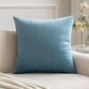 MIULEE Velvet Pillow Cover Soft Luxury Decorative Throw Pillow Cover Single Rectangle Cushion Case for Spring Couch Sofa Bedroom Car Decor,12×20 Inch Aqua Green(Light Blue)