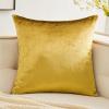MIULEE Velvet Pillow Cover Soft Luxury Decorative Throw Pillow Cover Single Rectangle Cushion Case for Spring Couch Sofa Bedroom Car Decor,12×20 Inch Aqua Green(Golden)