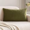 MIULEE Velvet Pillow Cover Soft Luxury Decorative Throw Pillow Cover Single Rectangle Cushion Case for Spring Couch Sofa Bedroom Car Decor,12×20 Inch Aqua Green(Olive Green)