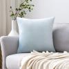MIULEE Velvet Pillow Cover Soft Luxury Decorative Throw Pillow Cover Single Rectangle Cushion Case for Spring Couch Sofa Bedroom Car Decor,12×20 Inch Aqua Green(Baby Blue)