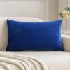 MIULEE Velvet Pillow Cover Soft Luxury Decorative Throw Pillow Cover Single Rectangle Cushion Case for Spring Couch Sofa Bedroom Car Decor,12×20 Inch Aqua Green(Royal Blue)
