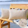 MIULEE Outdoor Waterproof Throw Pillow Covers Decorative Farmhouse Water Resistant Cushion Covers for Tent Patio Garden Couch Sofa Pack of 2, 20×20 Inch Light Blue(Beige)
