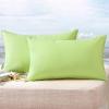 MIULEE Pack of 2 Decorative Outdoor Waterproof Pillow Covers Square Garden Cushion Sham Throw Pillowcase Shell for Spring Patio Tent Couch 16×16 Inch Olive Green(Pale Green)