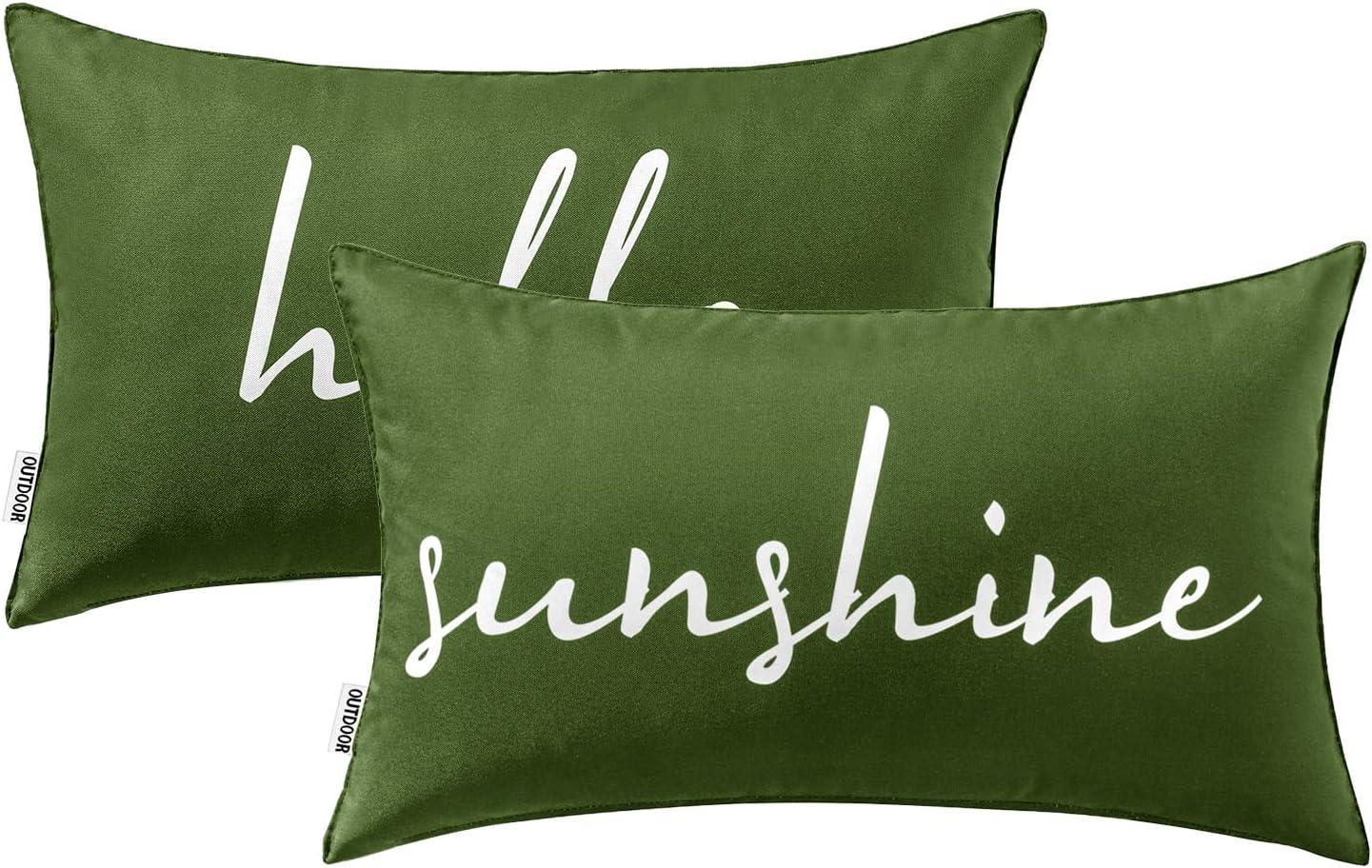 imageMIULEE Outdoor Waterproof Throw Pillow Covers Set of 2 Hello Sunshine Decorative Outdoor Square Pillowcases for Chair Patio Garden Couch Tent Balcony Sofa Black 18x18 InchOlive Green